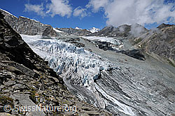 Foto: Gletscherzungen von Allalingletscher und Hohlaubgletscher
