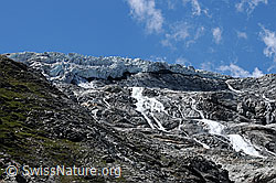 F060541: Gletschertor Allalingletscher
