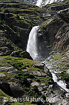 F060543: Wasserfall in urtümlicher Landschaft