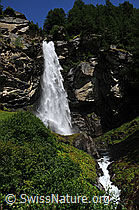 F060566: Wasserfall und Bergbach