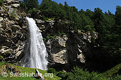 F060574: Wasserfall, Fels und Wald