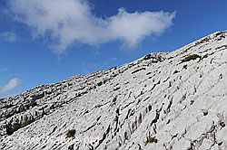 F060892: Karstlandschaft Schrattenfluh