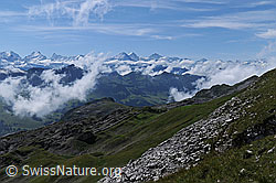 F060914: Wolkenstimmung mit Berner Alpen