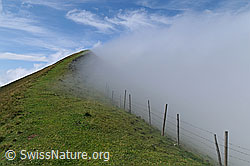 F060928: Bergrücken mit Nebelstimmung und Zaun
