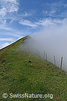 F060929: Nebelstimmung in den Voralpen