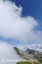 F060935: Stimmung am Grat Schrattenfluh