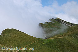 F060945: Stimmung auf der Schrattenfluh