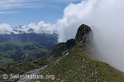F060950: Wolkenstimmung am Türstenhäuptli