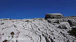 F060988: Karstlandschaft und Nebelspalter