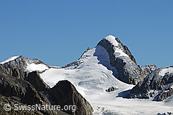 Foto: Oberaarhorn, Studergletscher und Galmigletscher