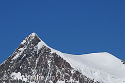 F061110: Portrait Aletschhorn