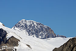 F061117: Portrait Eiger