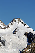 F061118: Portrait Trugberg