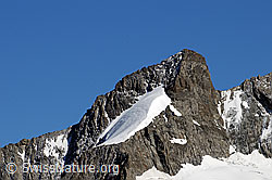 Foto: Portrait Chamm