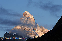 F061186: Matterhorn am Morgen