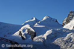 F061188: Castor und Pollux