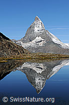 Foto: Spiegelung Matterhorn