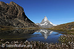 F061203: Riffelsee und Matterhorn