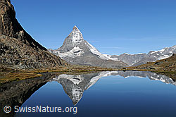 Foto: Riffelsee und Matterhorn mit Spiegelbild