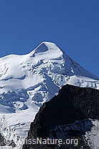 Foto: Castor und Klein Pollux