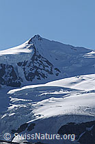 F061239: Nordend und Monte Rosagletscher