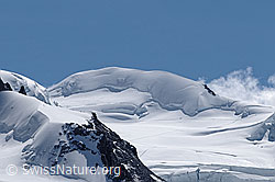 F061298: Parrotspitze