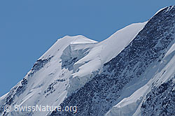 F061299: Ostgipfel des Liskamm