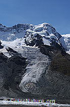 Foto: Zermatter Breithorn und Breithorngletscher