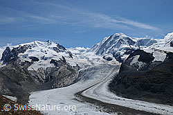 Foto: Monte Rosa, Gornergletscher und Grenzgletscher