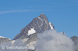 F061419: Finsteraarhorn und Agassizhorn