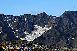 F061424: Blinnengletscher
