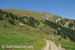 F061692: Saflischtal ca. bei Pt.1911 (Sick)