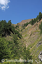 F061698: Erosionsgraben unterhalb Holeschliecht