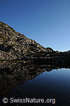 F061791: Spiegelung in Bergsee