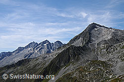F061834: Pizzo Rotondo, Pizzo Pesciora, Witenwasserenstock, Pizzo Lucendro