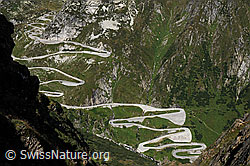 F061837: Serpentine der Tremola