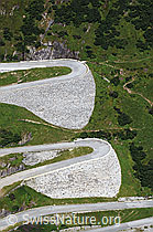 F061844: Haarnadelkurven der Tremola