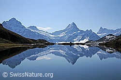 F061950: Spiegelung Bachalpsee