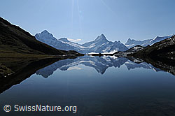 F061951: Spiegelung Bachalpsee