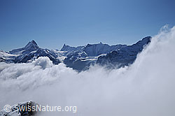 Foto: Wolkenstimmung mit Schreckhorn, Finsteraarhorn und Fiescherhörner