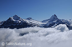 Foto: Wolkenstimmung mit Wetterhorn, Bärglistock und Schreckhorn