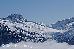 Foto: Bärglistock, Lauteraarsattel und Oberer Grindelwaldgletscher