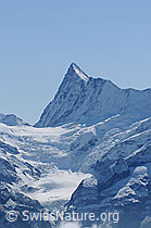 Foto: Finsteraarhorn, Agassizhorn, Finsteraarjoch und der Gletscher Obers Ischmeer