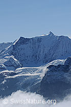 Foto: Ochs (Klein Fiescherhorn), Hinter-Fiescherhorn und Gross Fiescherhorn