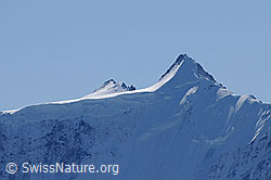 Foto: Portrait Hinter Fiescherhorn und Gross Fiescherhorn