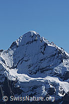 Foto: Wetterhorn und Gutzgletscher