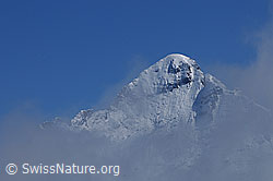 F061994: Gipfel des Wetterhorn