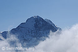 F062000: Eiger und Mönch