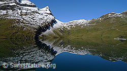 F062033: Spiegelung Bachalpsee