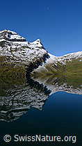 F062034: Spiegelung Bachalpsee